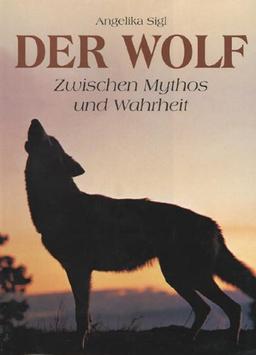 Der Wolf: Zwischen Mythos und Wahrheit