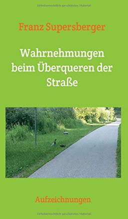 Wahrnehmungen beim Überqueren der Straße: Aufzeichnungen