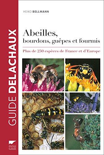 Abeilles, bourdons, guêpes et fourmis : plus de 250 espèces de France et d'Europe