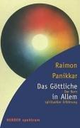 Das Göttliche in allem: Der Kern spiritueller Erfahrung (HERDER spektrum)