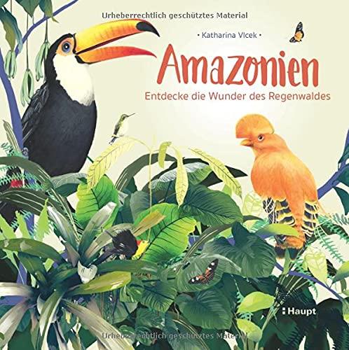 Amazonien: Entdecke die Wunder des Regenwaldes