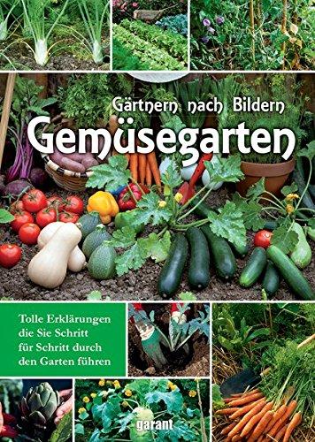 Mein Gemüsegarten