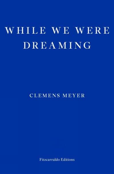 While We Were Dreaming: Clemens Meyer