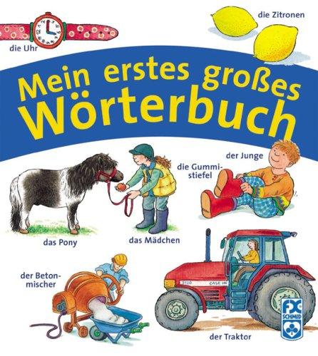 Mein erstes großes Wörterbuch