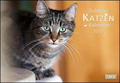 DuMonts Katzenkalender 2019 - Broschürenkalender - Wandkalender - mit Schulferienterminen - Format 42 x 29 cm: mit kurzweiligen Katzengeschichten