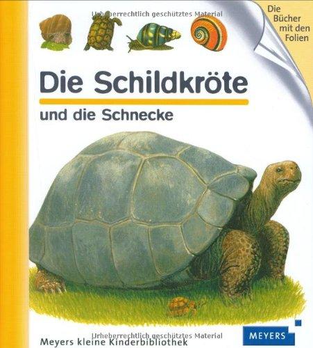 Die Schildkröte und die Schnecke