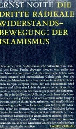 Die dritte radikale Widerstandsbewegung: der Islamismus