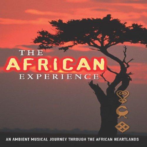 Various Artists - The African Experience