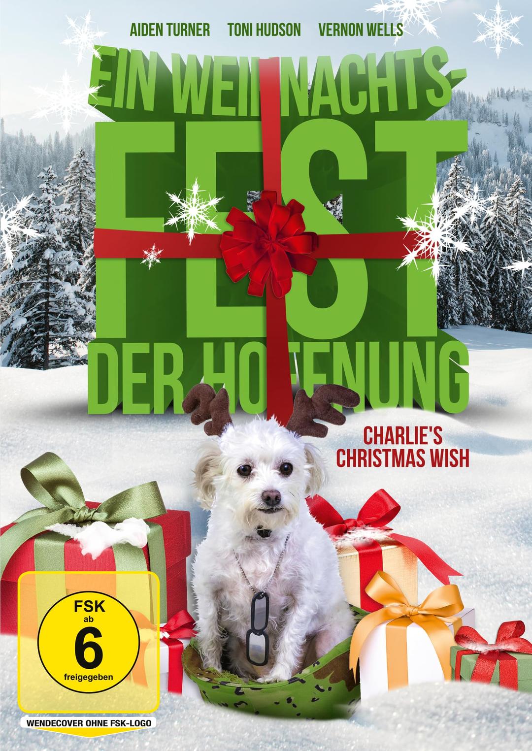 Ein Weihnachtsfest der Hoffnung - Charlie's Christmas Wish