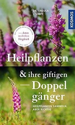 Heilpflanzen und ihre giftigen Doppelgänger: Heilpflanzen sammeln, aber richtig