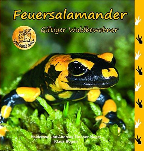 Feuersalamander: Giftiger Waldbewohneer