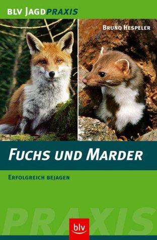 Fuchs und Marder: Erfolgreich bejagen