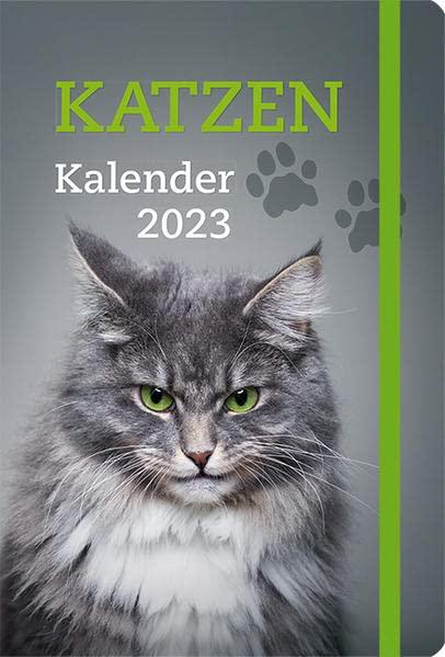 Katzen - Kalender 2023: Taschenkalender mit Lesebändchen und Gummiband