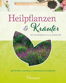 Heilpflanzen & Kräuter: Bestimmen, Sammeln, Anwendung und Wirkung