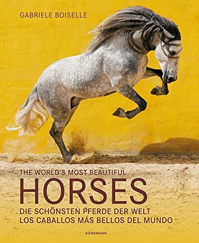 The World's Most Beautiful Horses / Die schönsten Pferde der Welt / Los caballos mas bellos del mundo