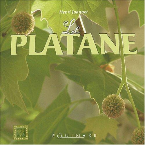 Le platane