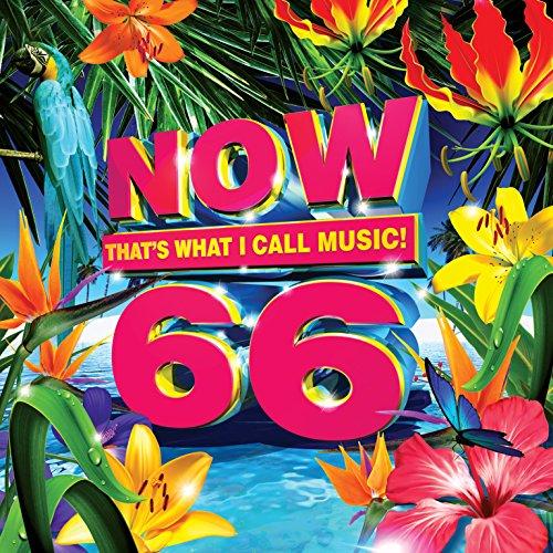 Now 66 (Various Artists)