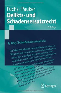 Delikts- und Schadensersatzrecht (Springer-Lehrbuch) (German Edition)