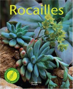 Rocailles : pour réaliser chez soi un paysage naturel en miniature