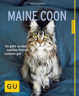 Maine Coon: So geht es den sanften Riesen rundum gut (GU Tierratgeber)