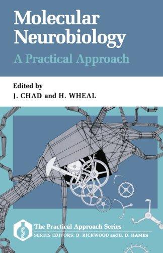 Molecular Neurobiology: A Practical Approach (The Practical Approach Series)