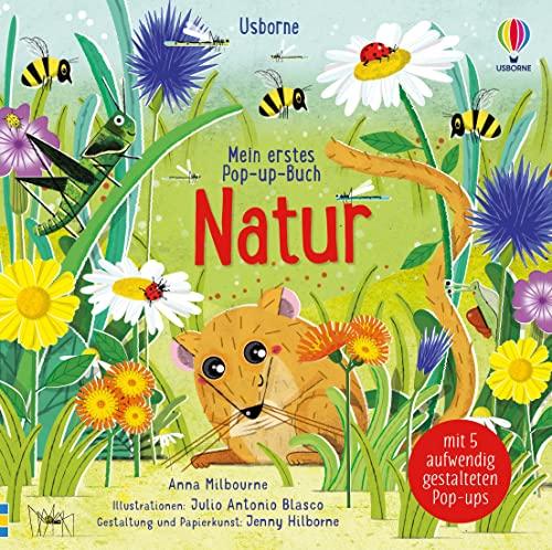 Mein erstes Pop-up-Buch: Natur: mit Kindern ab 3 Jahren die Natur als Pop-Up-Buch entdecken (Meine ersten Pop-up-Bücher)