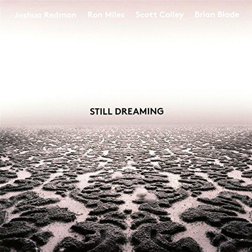 Still Dreaming [Vinyl LP]