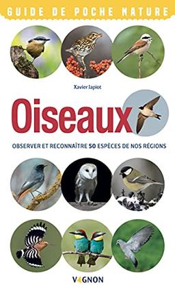 Oiseaux : observer et reconnaître 50 espèces de nos régions