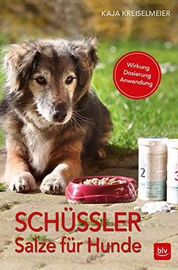 Schüssler-Salze für Hunde: Wirkung · Dosierung · Anwendung