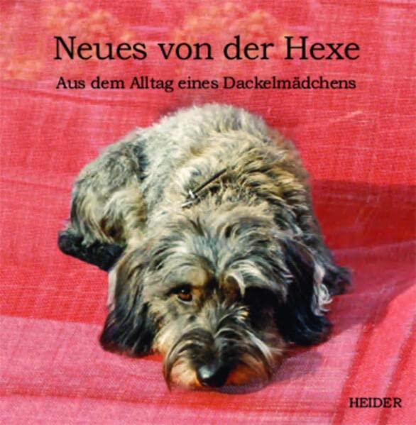 Neues von der Hexe: Aus dem Alltag eines Dackelmädchens