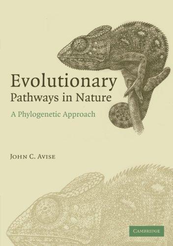 Evolutionary Pathways in Nature: A Phylogenetic Approach