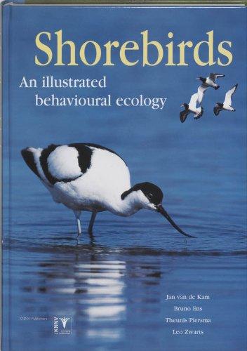 Shorebirds: An Illustrated Behavioural Ecology