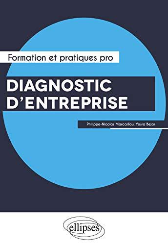 Diagnostic d'entreprise : performance, capital immatériel et risques