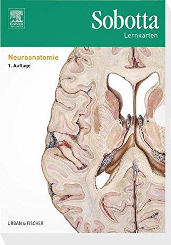 Sobotta Lernkarten Neuroanatomie