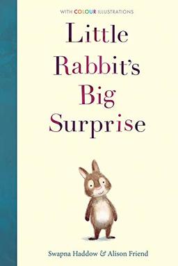 Haddow, S: Little Rabbit's Big Surprise (Colour Fiction, Band 1)