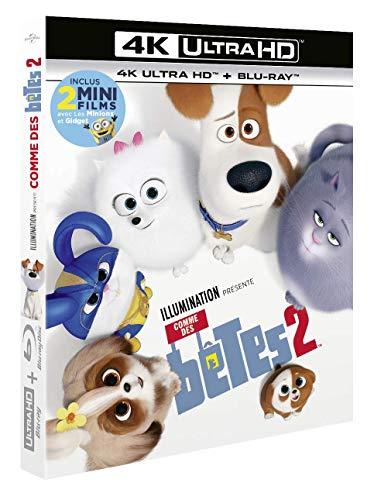 Comme des bêtes 2 4k ultra hd [Blu-ray] [FR Import]