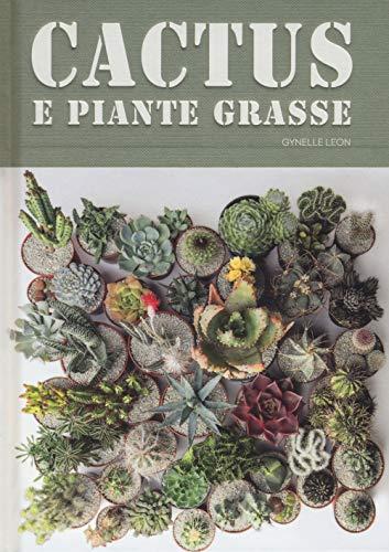 CACTUS E PIANTE GRASSE. Scelta, disposiz