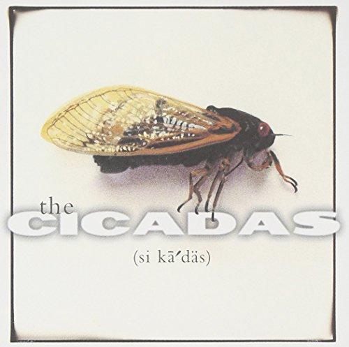 Cicadas