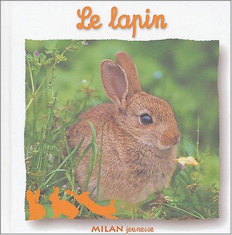 Le lapin