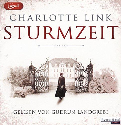 Sturmzeit (Die Sturmzeittrilogie, Band 1)