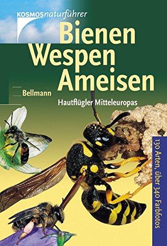 Bienen, Wespen, Ameisen: Hautflügler Europas (Kosmos-Naturführer)