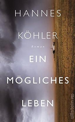 Ein mögliches Leben: Roman