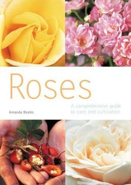 Roses: A Comprehensive Guide to Care and Cultivation