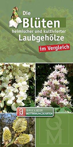 Die Blüten heimischer Laubgehölze im Vergleich (Quelle & Meyer Bestimmungskarten)