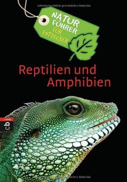 Naturführer für Entdecker - Reptilien und Amphibien