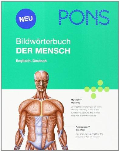 PONS Bildwörterbuch Der Mensch: Englisch, Deutsch