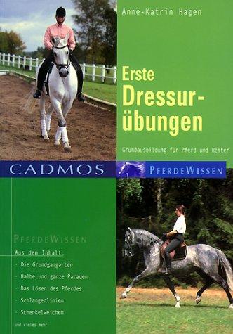 Erste Dressurübungen: Grundausbildung für Reiter und Pferd