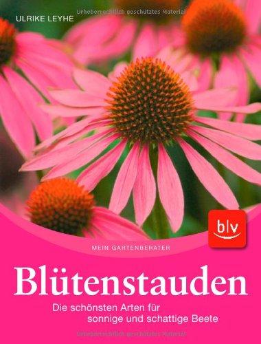 Blütenstauden: Die schönsten Arten für sonnige und schattige Beete