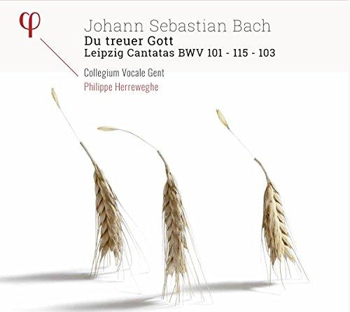 Bach: Kantaten BWV 101, 103 & 115