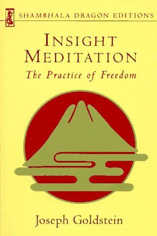 Insight Meditation: A Psychology of Freedom (Shambhala Dragon Editions)